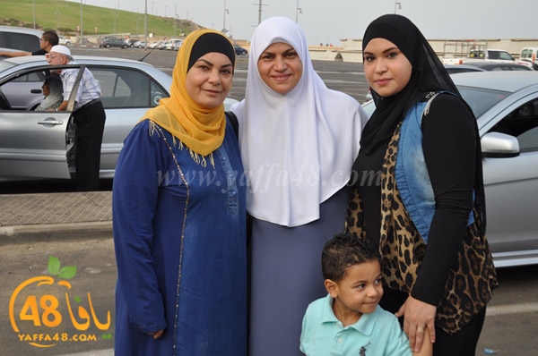 7ojajj fyaffa (3).JPG